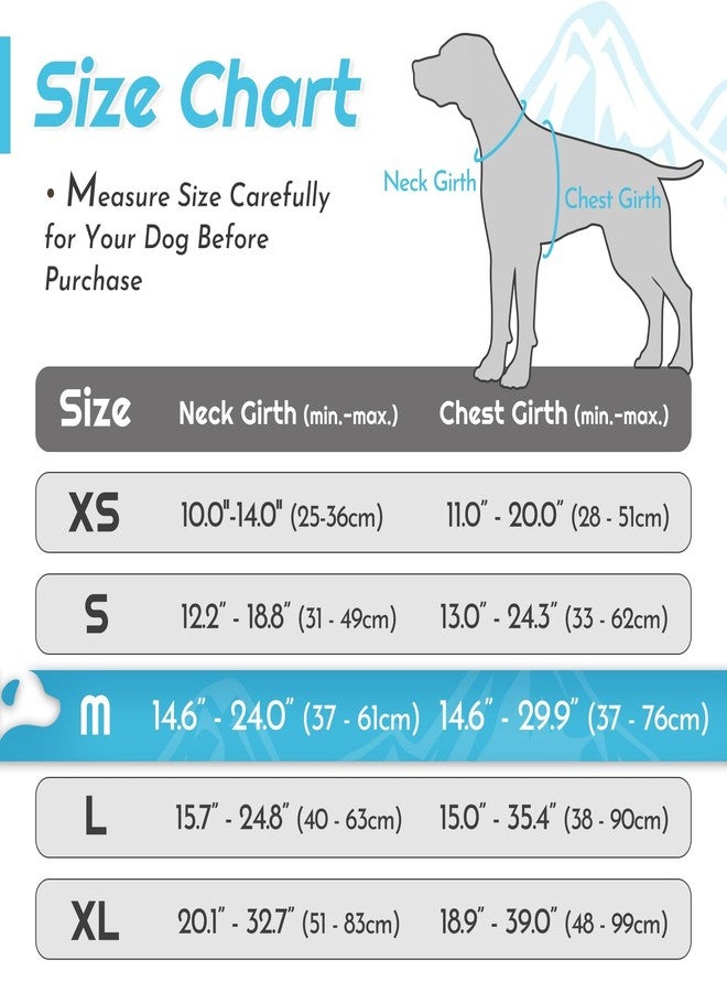 Eagloo Dog Harness Medium Sized Dog, No Pull Service Vest with Reflective Strips and Control Handle, Adjustable and Comfortable for Easy Walking, No Choke Pet Harness with 2 Metal Rings, Sky Blue, M - Image 2
